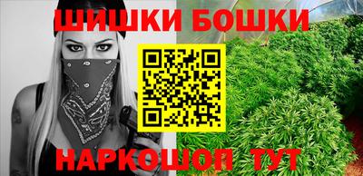 apvp Камень-на-Оби