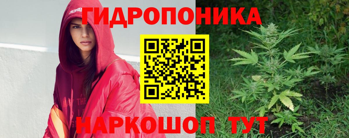 Бошки марихуана OG Kush  Вход с VPN  Новый Уренгой  Шишки марихуана марихуана 